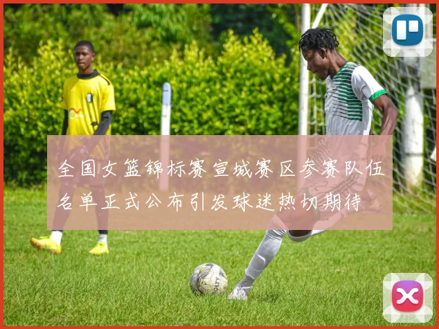 全国女篮锦标赛宣城赛区参赛队伍名单正式公布引发球迷热切期待